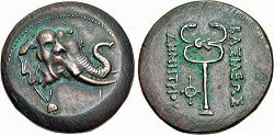 Demetrius I, Copper tri-chalkon (triple unit), 200-185 BC